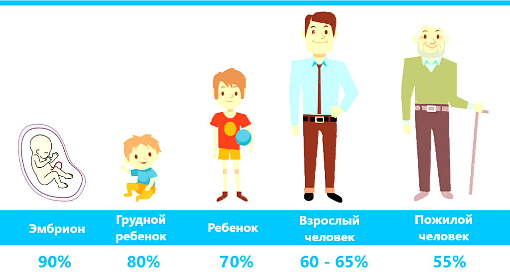 На сколько процентов состоит человек. Процент содержания воды в организме. Количество воды в организме человека. Сколько процентов воды в человеке. Содержание воды в теле человека.